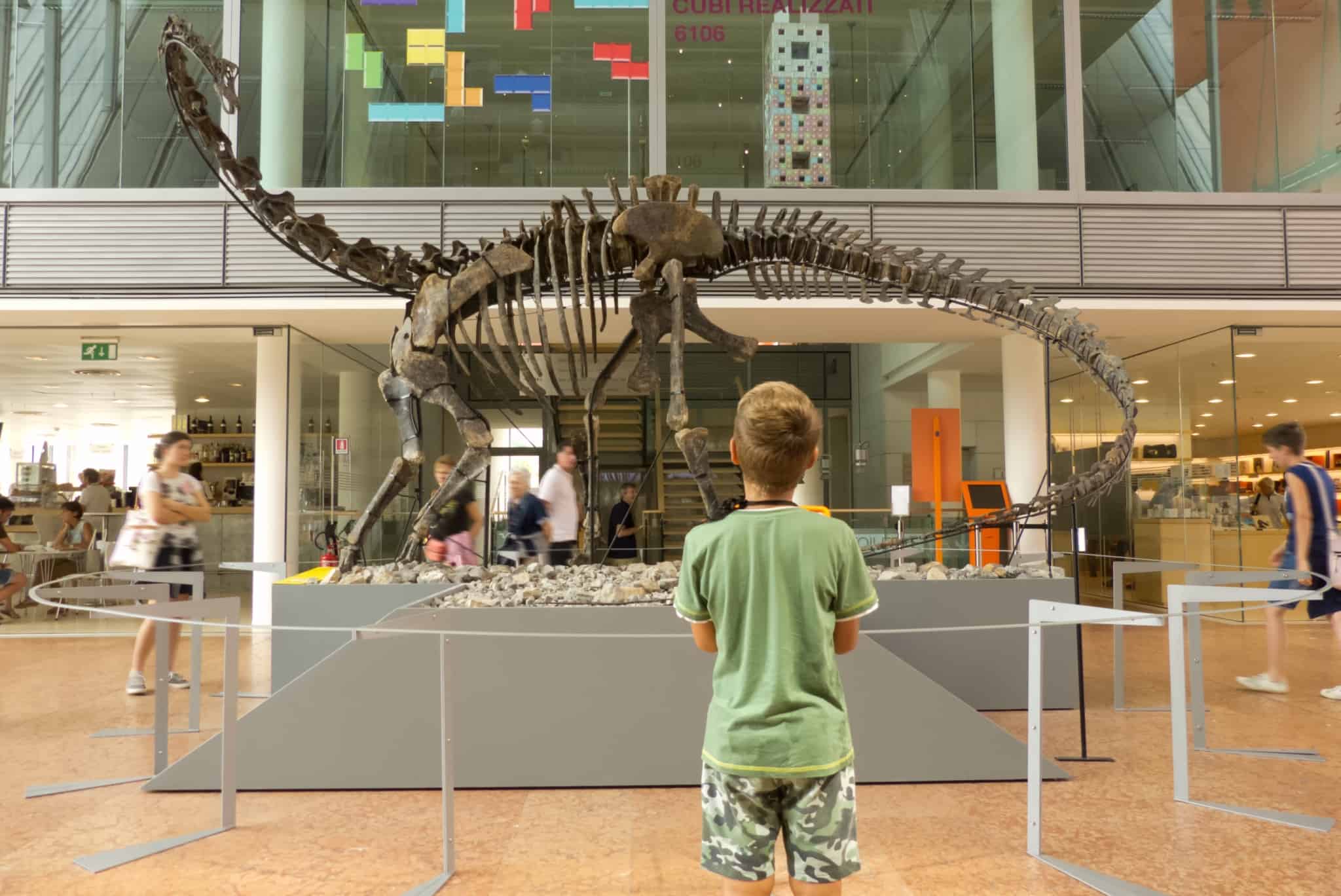 Jovem observa o esqueleto de um dinossauro exposto num museu